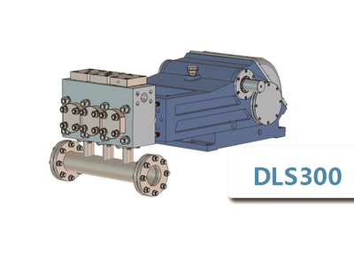 DLS300
